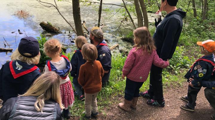 Spejderaktivitet ved søen